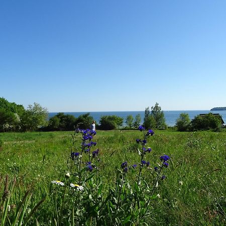 Appartement Werft & Meer Lauterbach  Exteriör bild