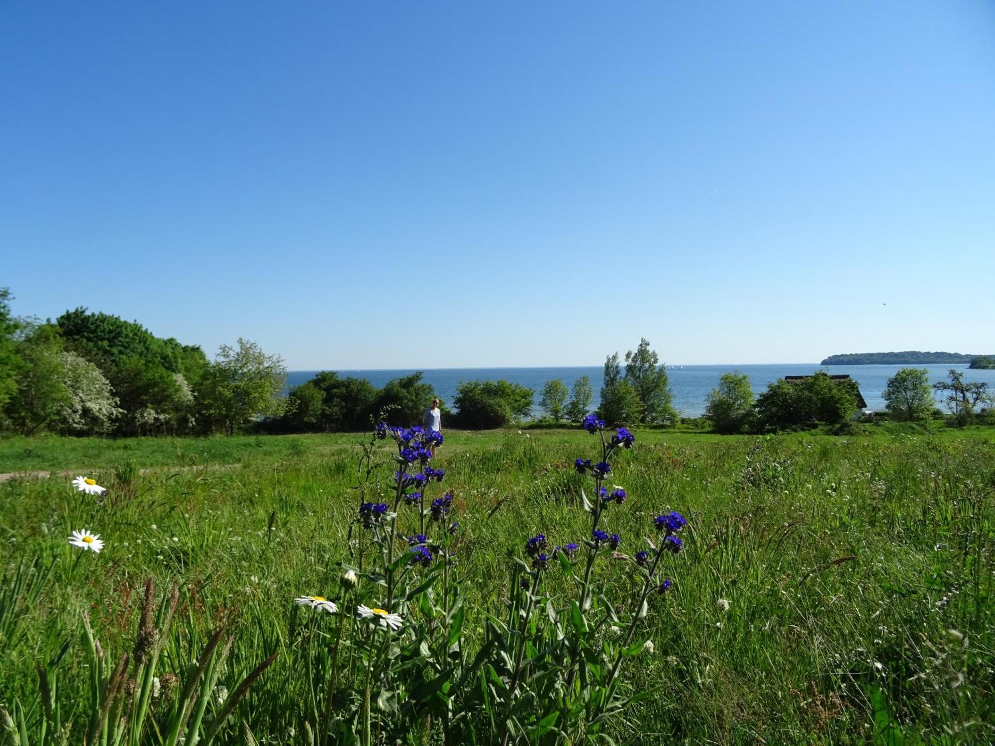Appartement Werft & Meer Lauterbach  Exteriör bild
