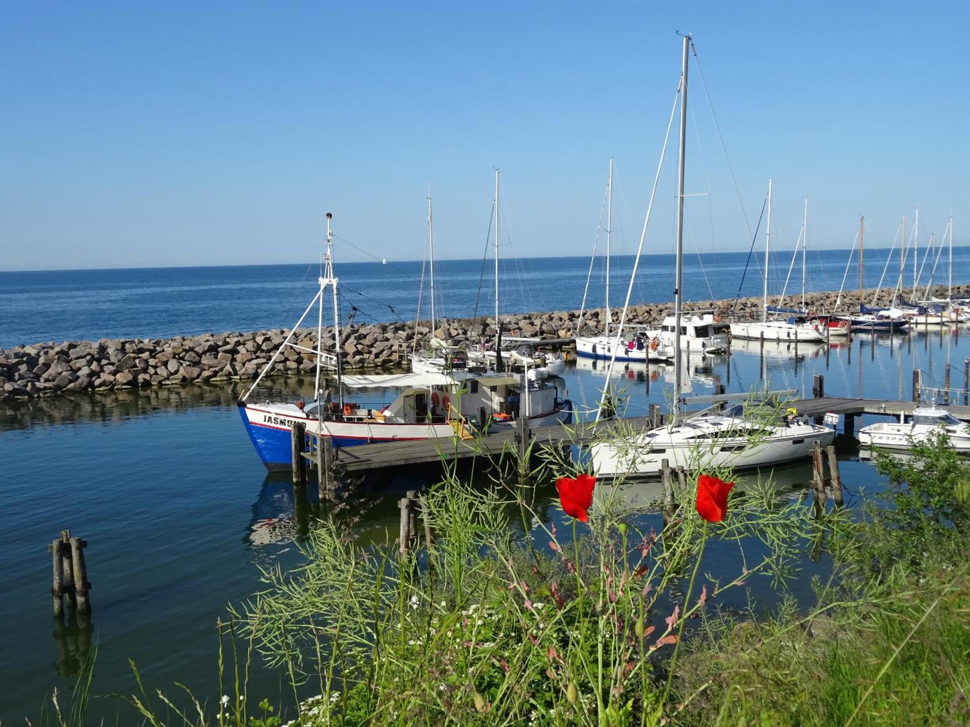 Appartement Werft & Meer Lauterbach  Exteriör bild