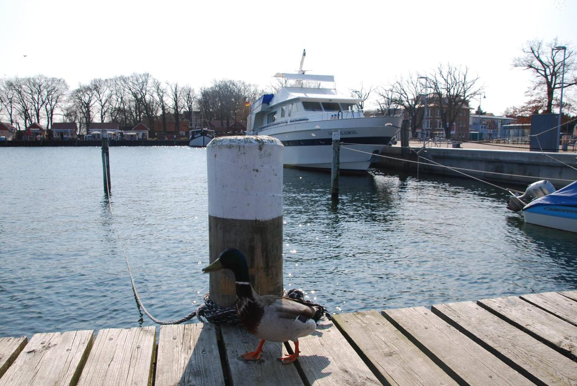 Appartement Werft & Meer Lauterbach  Exteriör bild